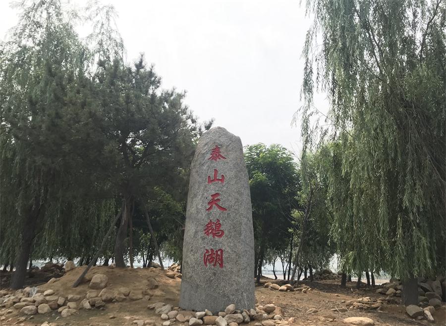 天鵝湖風(fēng)景區(qū)（泰山）速覽！(圖12)